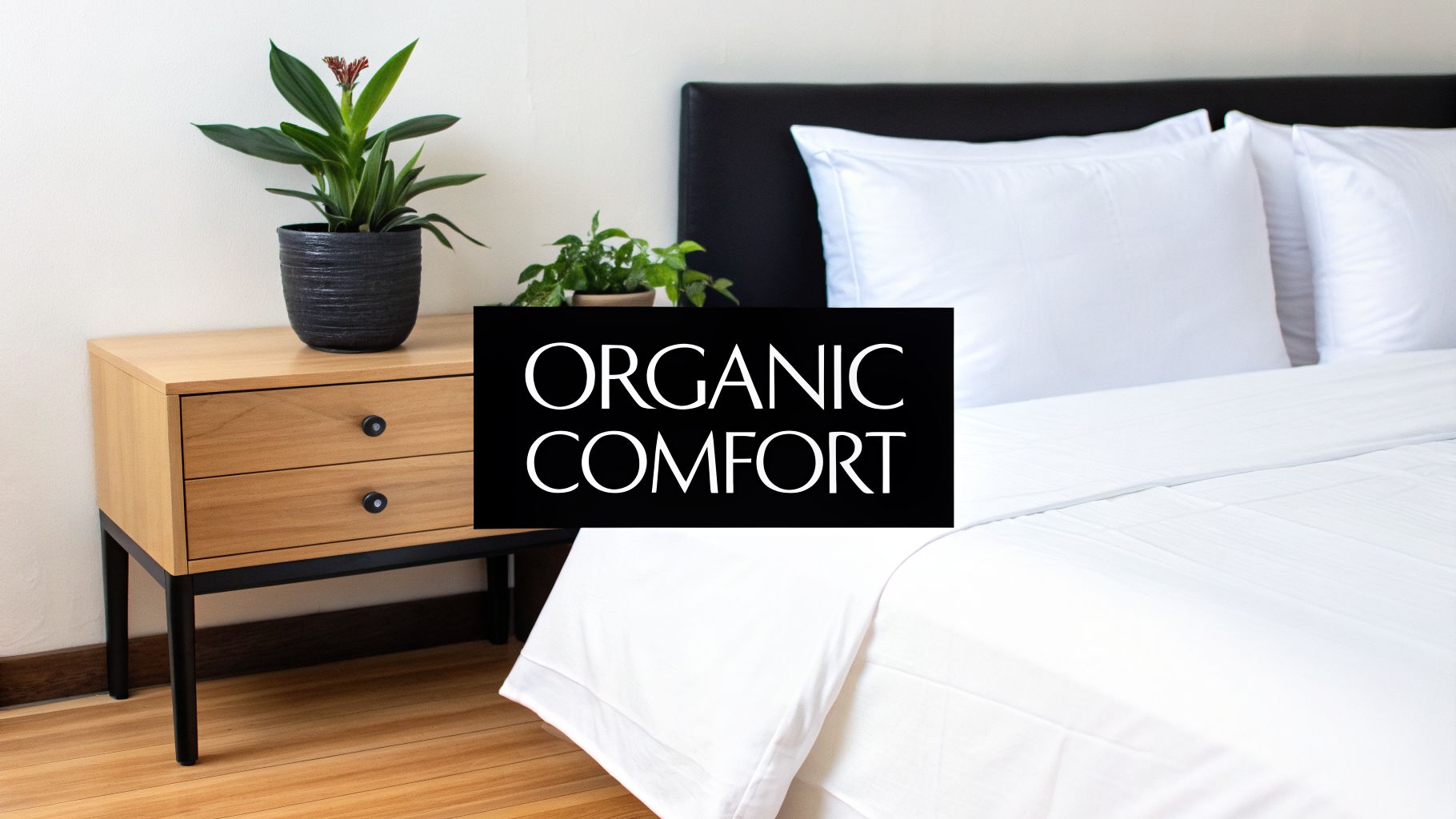 A Guide to Organic Cotton Sheets for a Better Night's Sleep